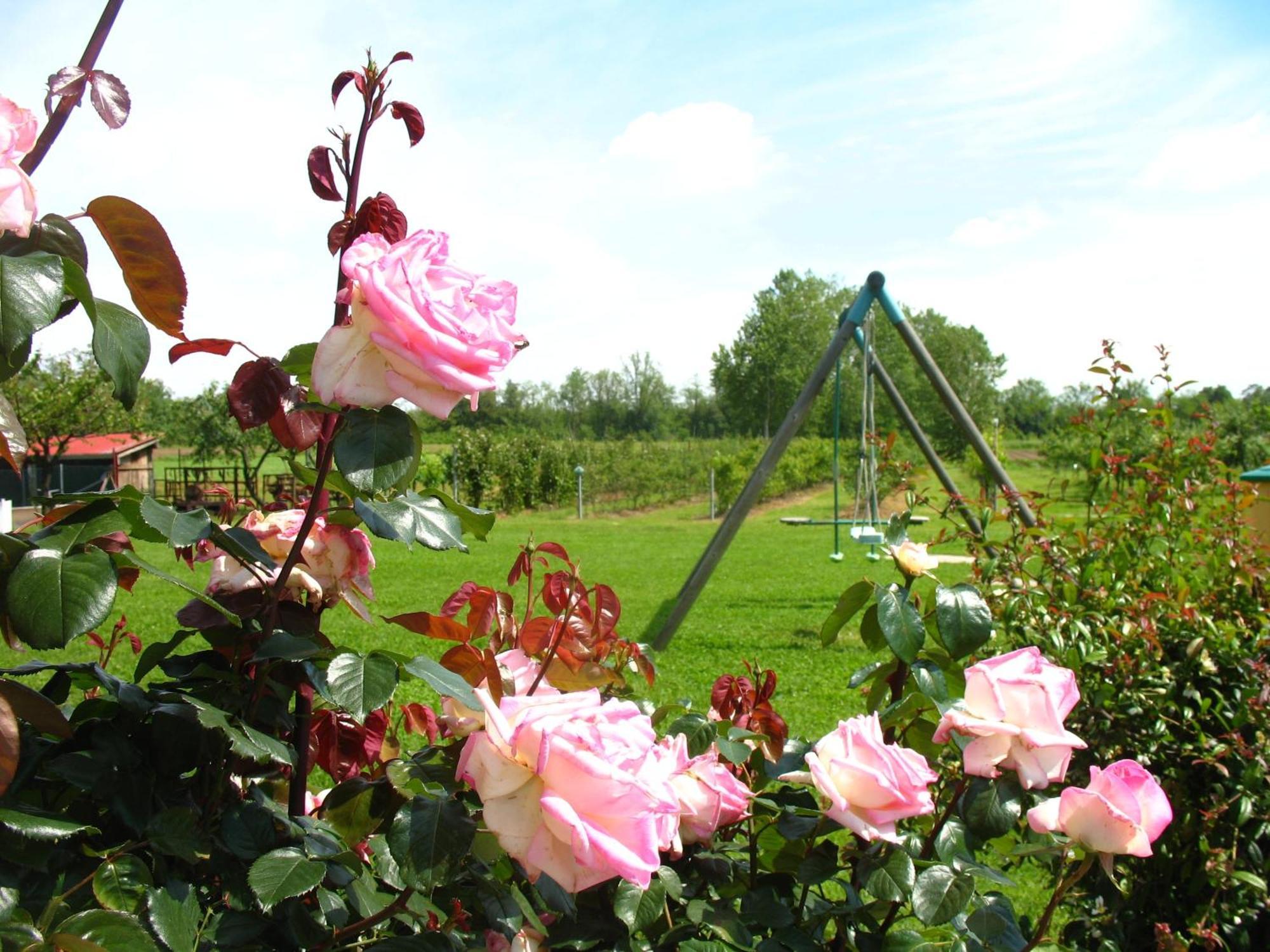 Agriturismo Cascina Aguzza Оледжо Экстерьер фото