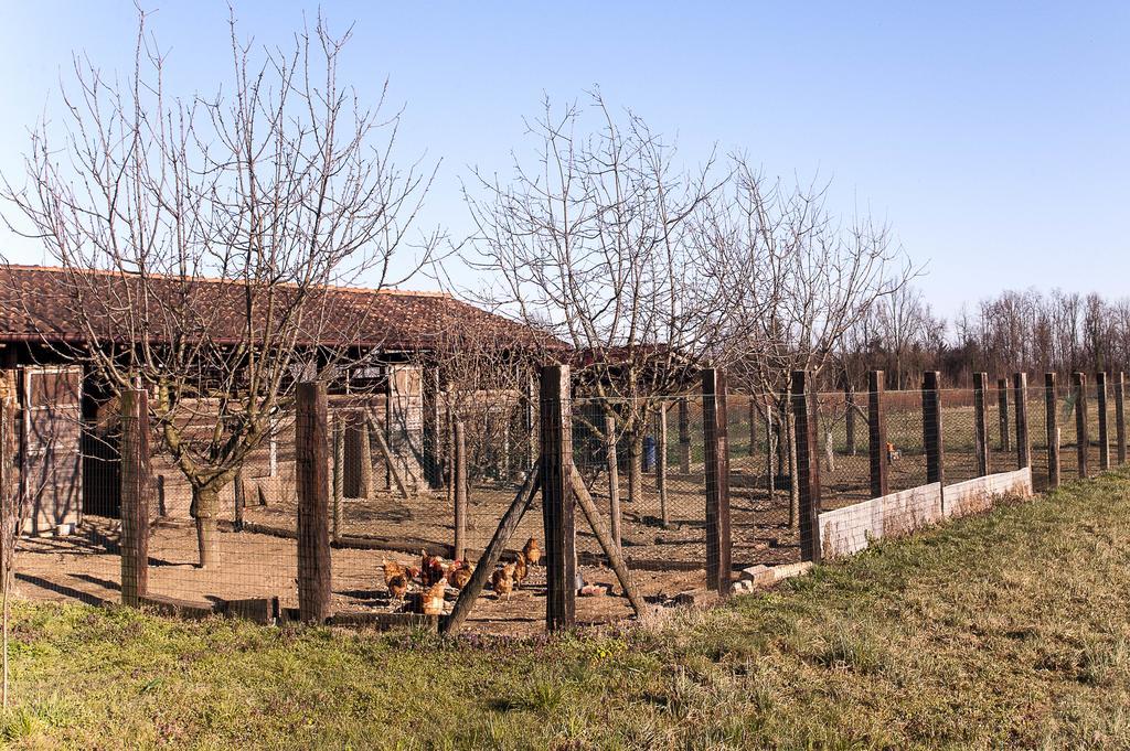 Agriturismo Cascina Aguzza Оледжо Экстерьер фото