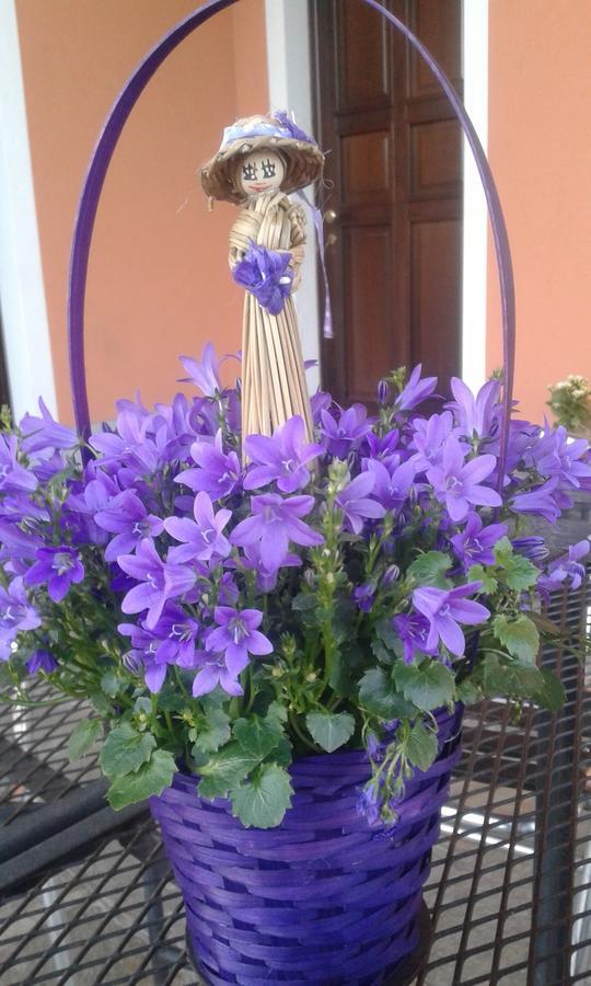 Agriturismo Cascina Aguzza Оледжо Экстерьер фото